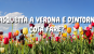 PASQUETTA A VERONA E DINTORNI: COSA FARE?