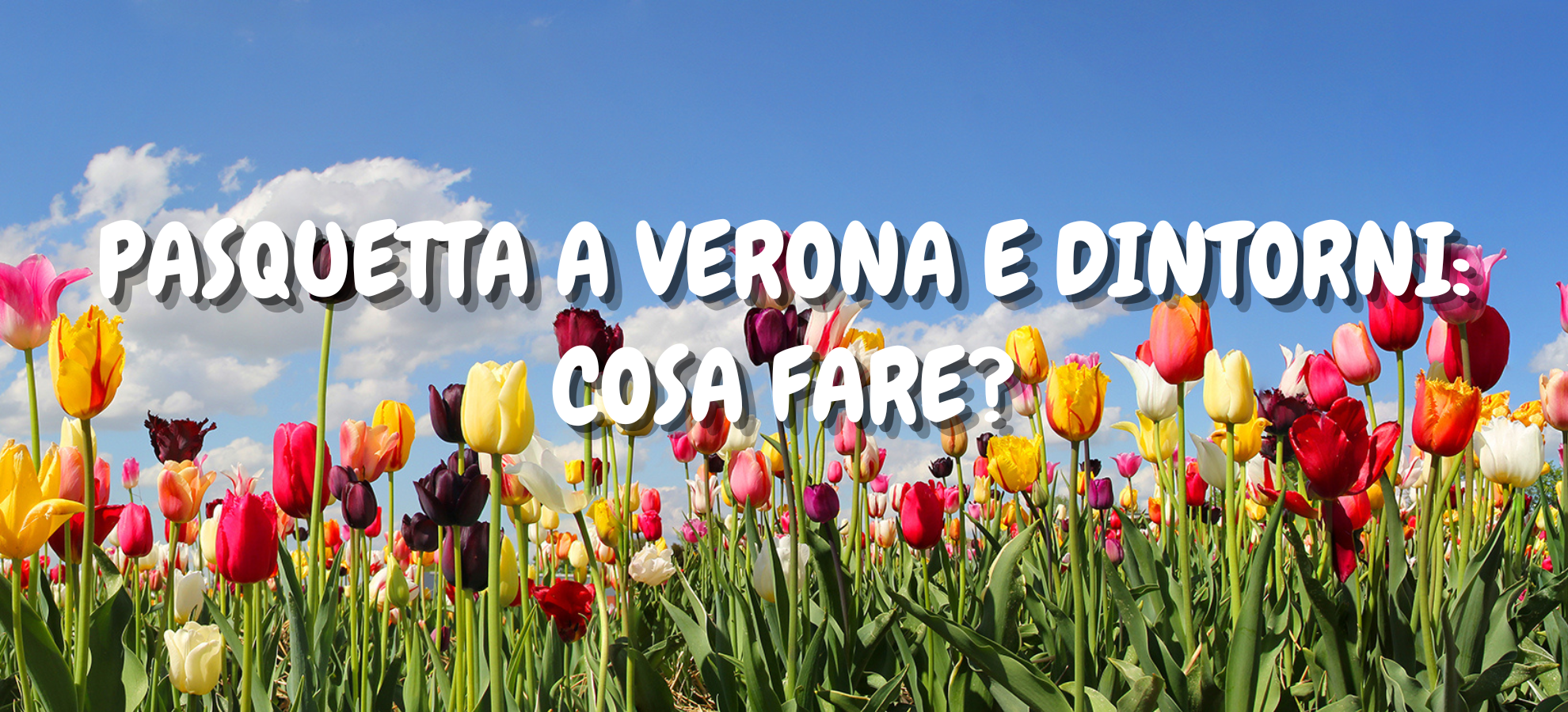 PASQUETTA A VERONA E DINTORNI: COSA FARE?