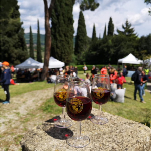 Festa dei Vini classici della Valpolicella