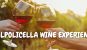 Valpolicella Wine Experience