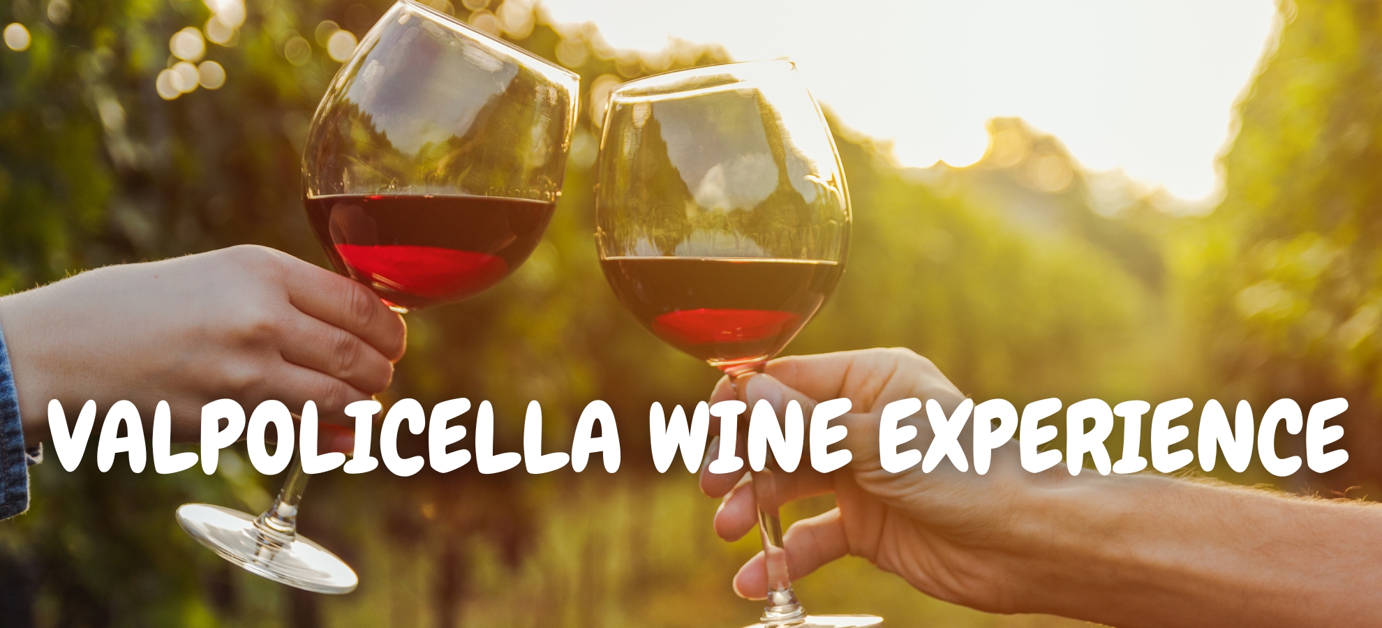 Valpolicella Wine Experience