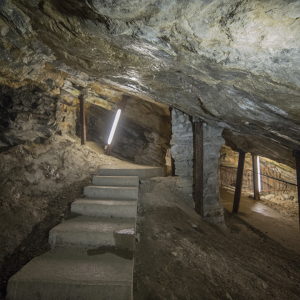 MUSEO DEI FOSSILI E CAVA DELLA PESCIARA