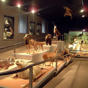 Museo di Storia Naturale