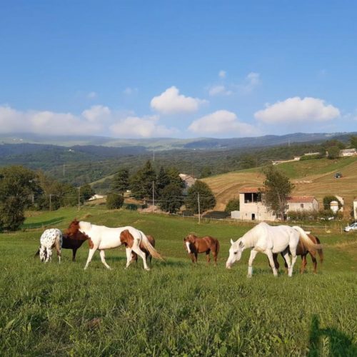 circolo-ippico-valpolicella