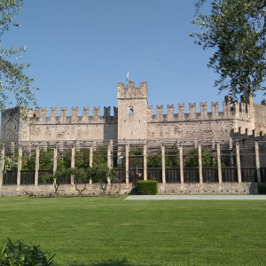 CASTELLO TORRI DEL BENACO