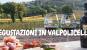 WINE EXPERIENCE IN VALPOLICELLA