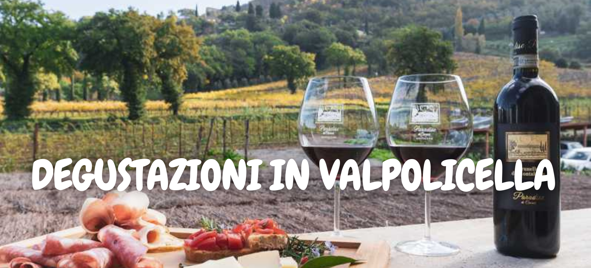 WINE EXPERIENCE IN VALPOLICELLA