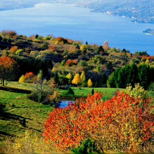 PASSEGGIATA SUL MONTE BALDO