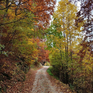 PASSEGGIATA TRA I MONTI DELLA LESSINIA