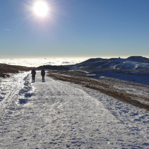 PASSO FITTANZE-MALGA LESSINIA