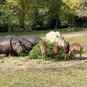 PARCO NATURA VIVA