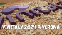 VINITALY 2024 A VERONA