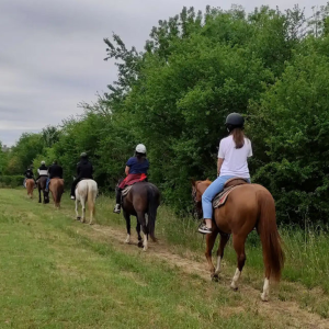 Passsegiata equestre con degustazione di vini - Le migliori degustazioni di vino a Verona