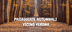 Passeggiate autunnali vicino Verona
