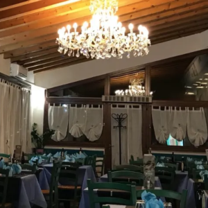 Pizzeria Mameli - Locali pet friendly a Verona