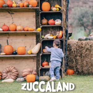 Zuccaland - Halloween 2025 a Verona