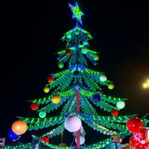Il Villaggio di Natale Flover a Verona